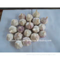 shandong liancheng garlic industry co.,ltd